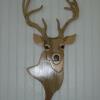 Buck Deer           21.5 X 11                     $65.00